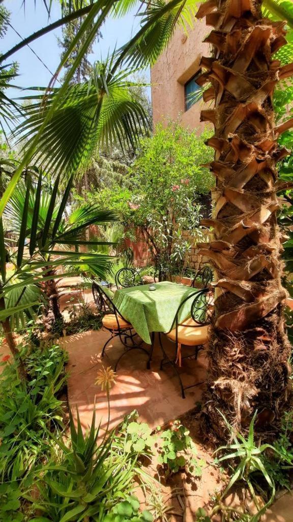 Hotel Dar Ouzoud Vegan Pokój zdjęcie