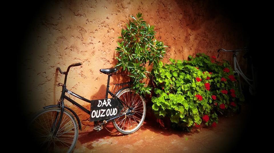 Hotel Dar Ouzoud Vegan Zewnętrze zdjęcie